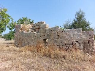 Basilica Pitturata